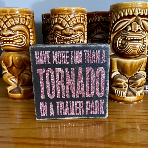 Have More Fun than a Tornado in a Trailer Park - Pink Glitter - Picture 2 of 11